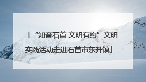 “知音石首 文明有约”文明实践活动走进石首市东升镇
